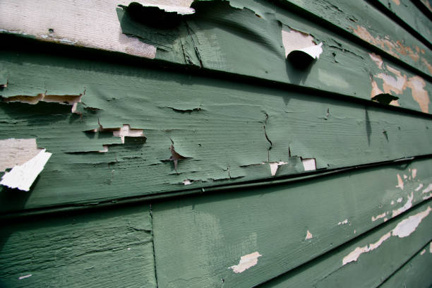 Best Hoarding Cleanup  in Hernando Beach, FL